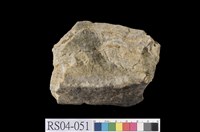 藏品(石灰岩)的圖片